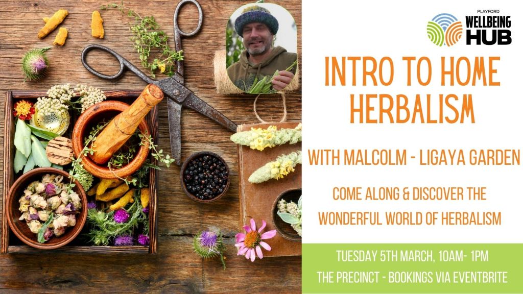 Upcoming “Intro to Herbalism” workshop