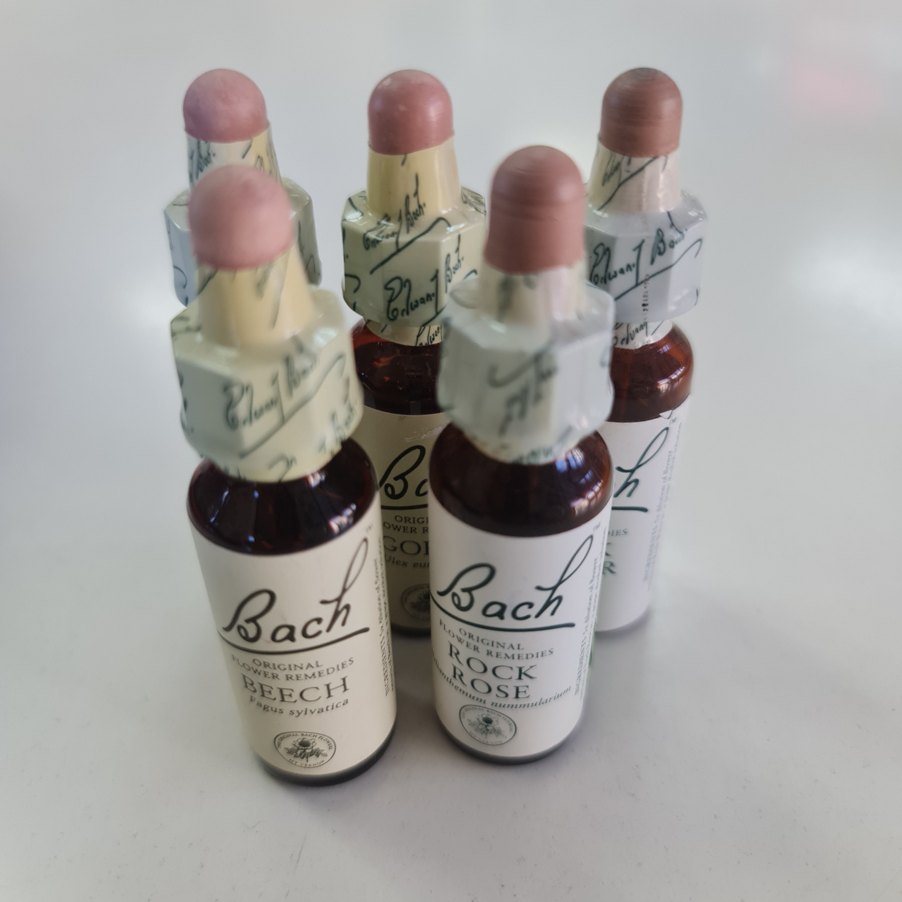 Bach Flower Essences for activists