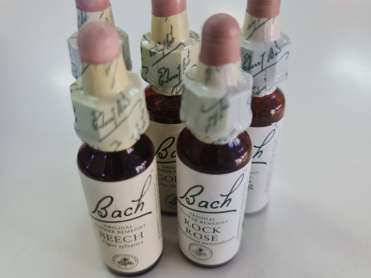 Bach Flower Essences for&nbsp;activists