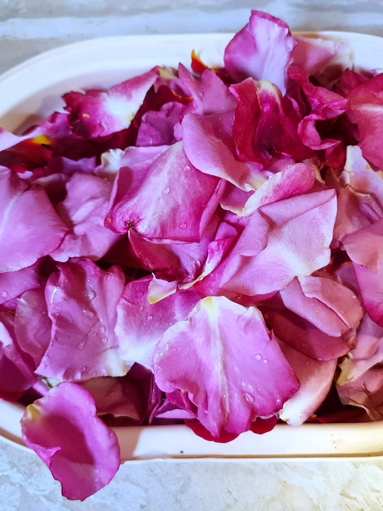 Fresh Rose petals.