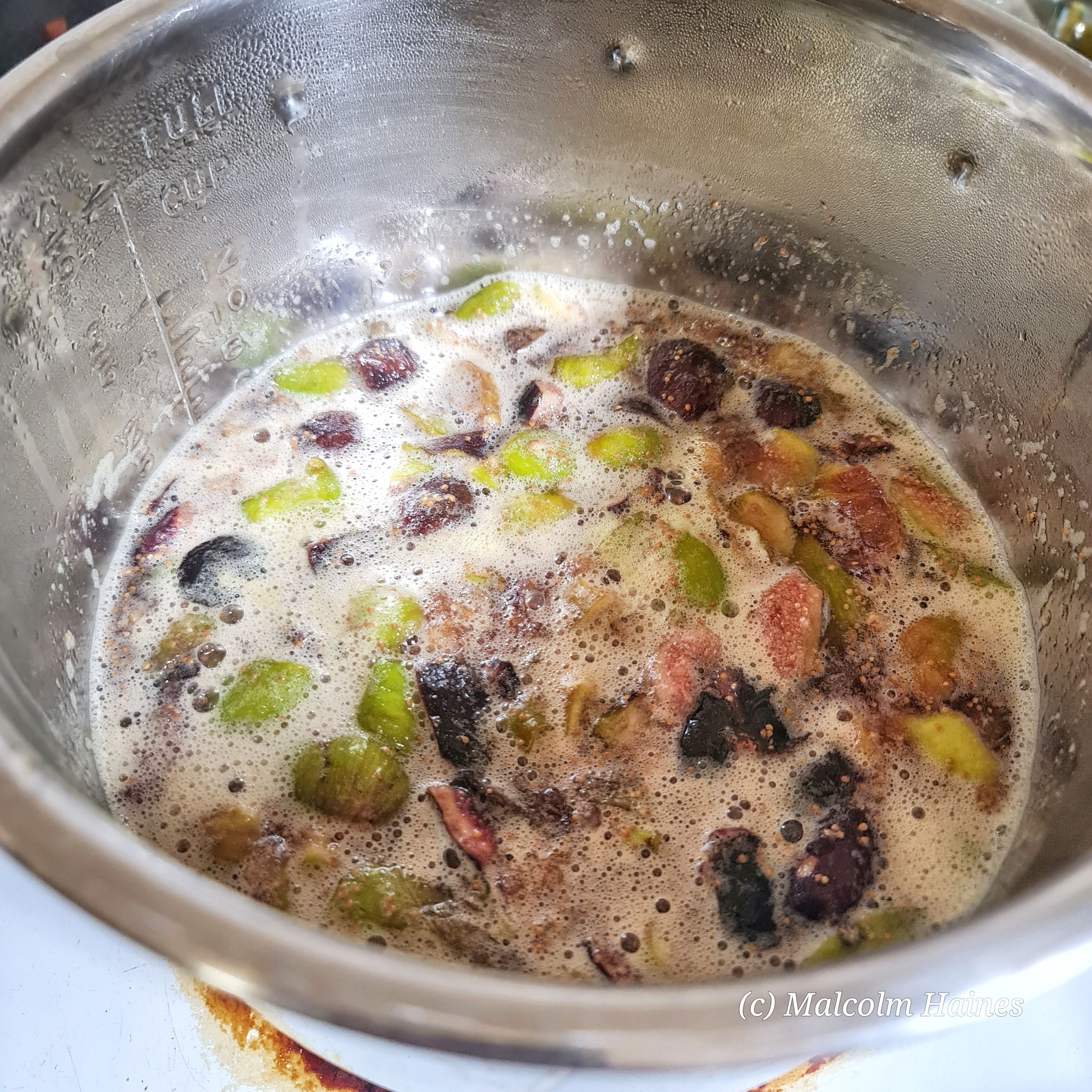 Syrup of Figs