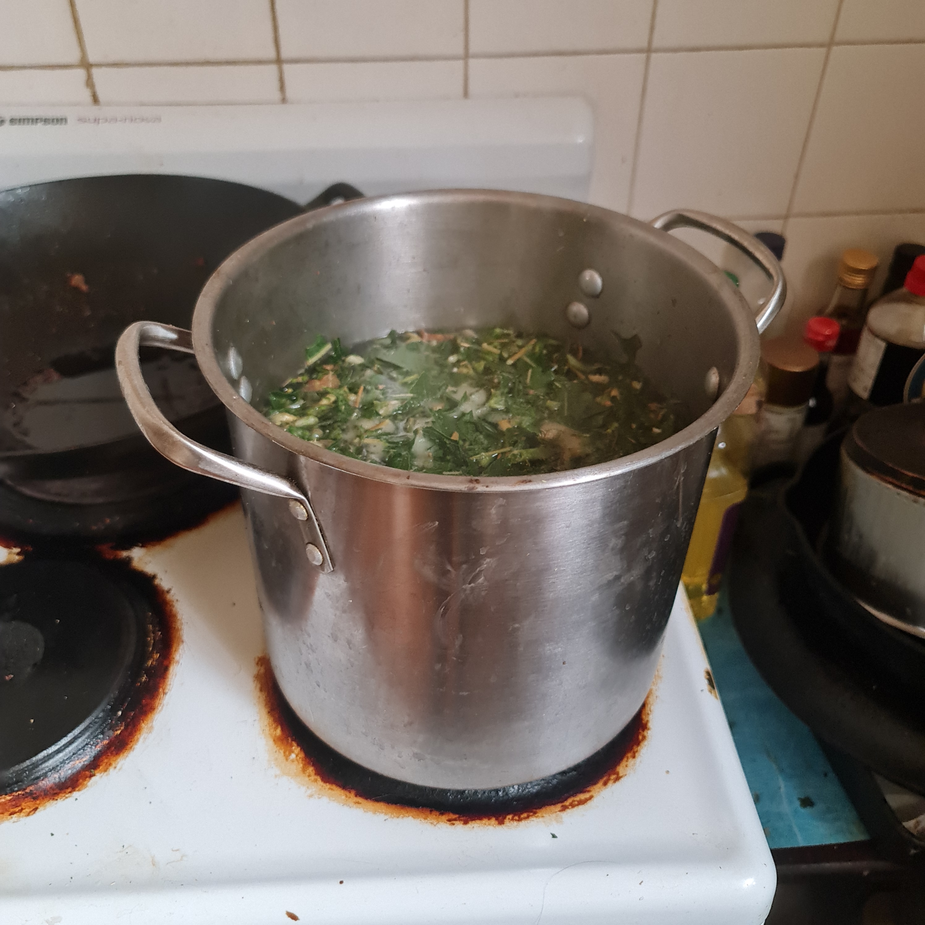 An experimental batch of Prickly Lettuce decoction.