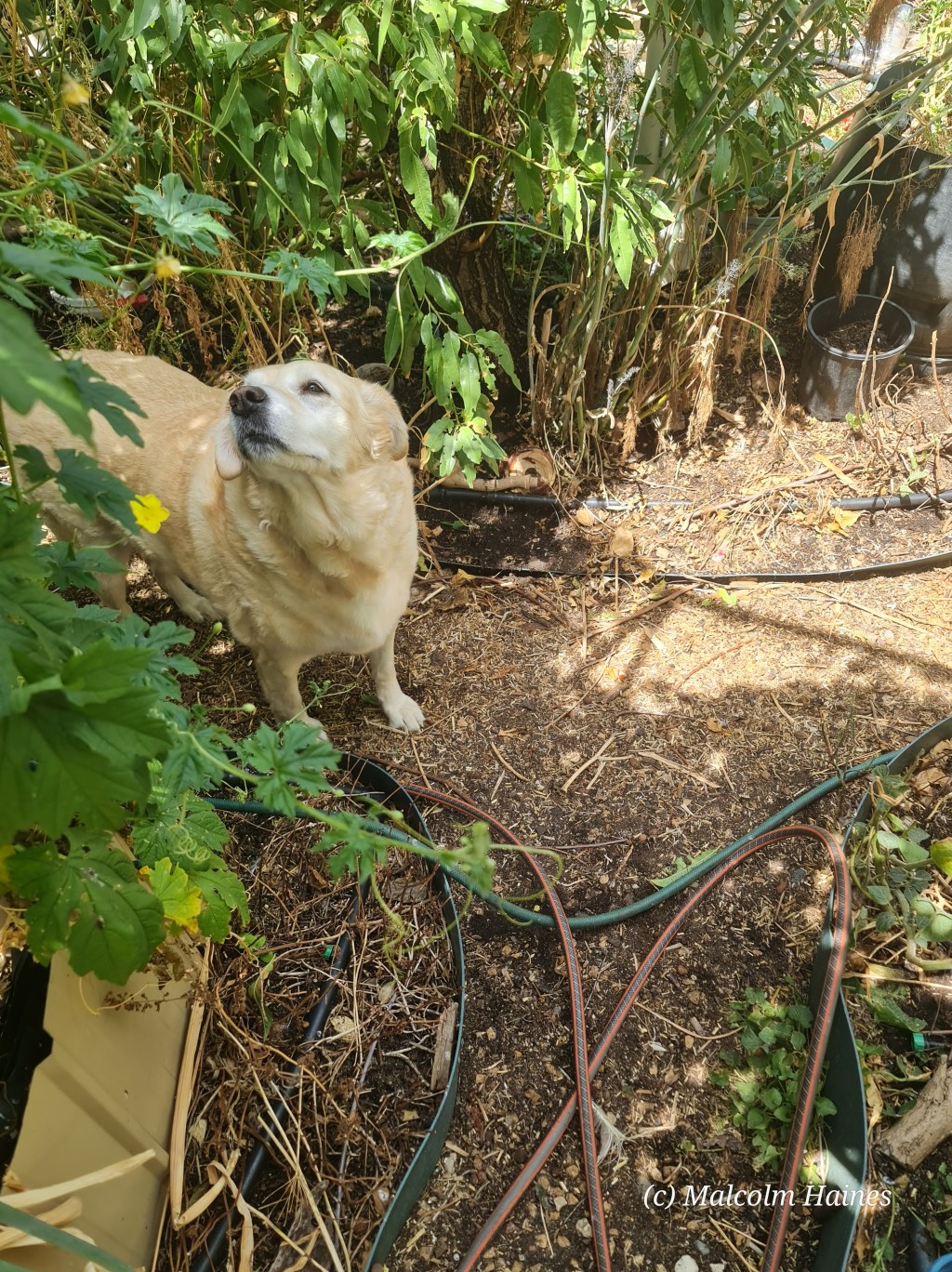 Getting ready for the next decade of&nbsp;heat