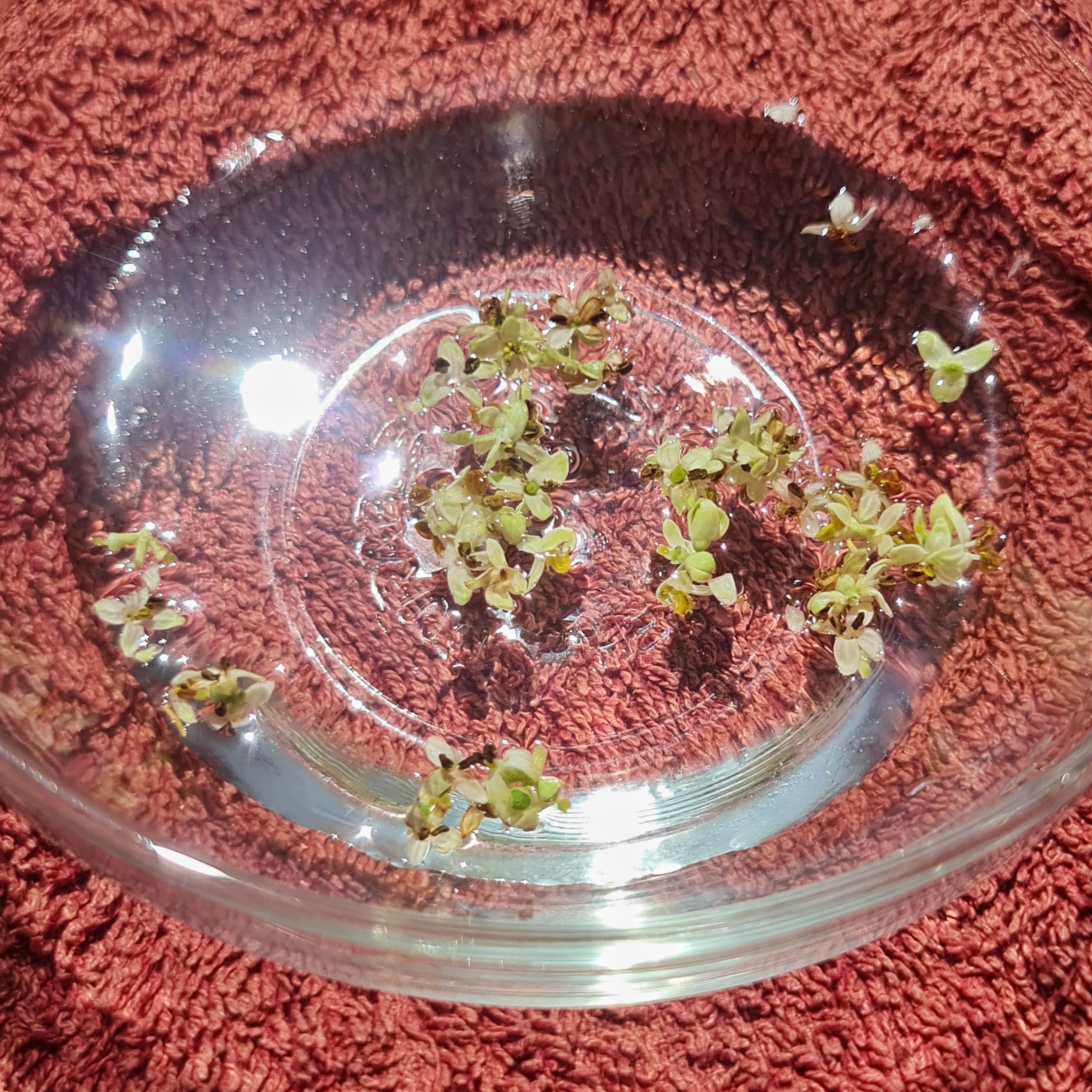 You don't need many flowers.