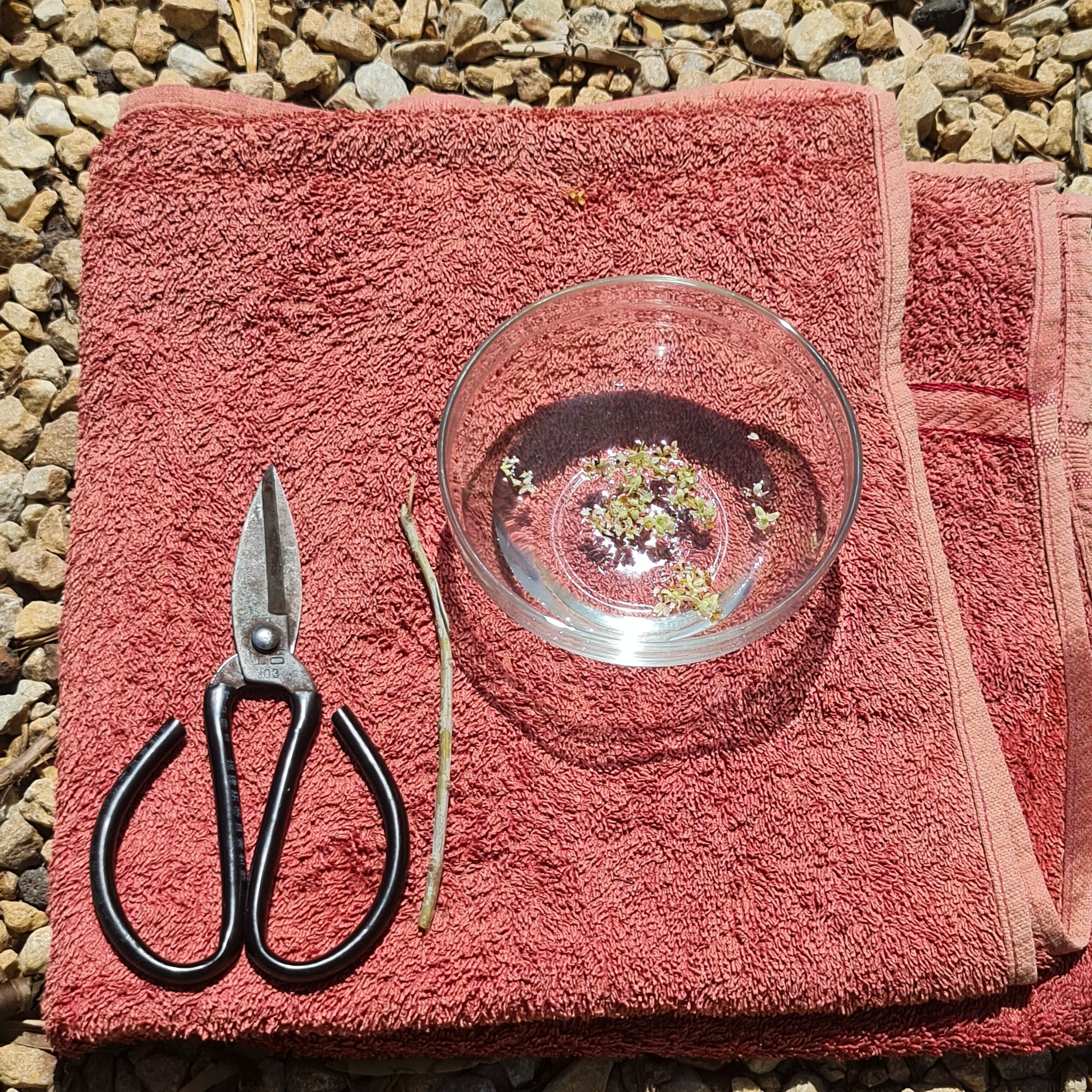 Be super clean and organised.