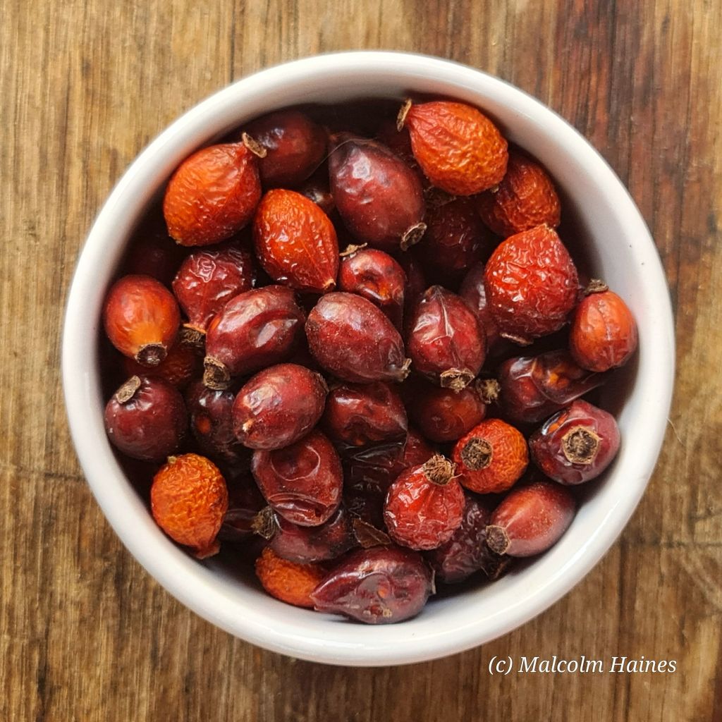 Rose Hips 