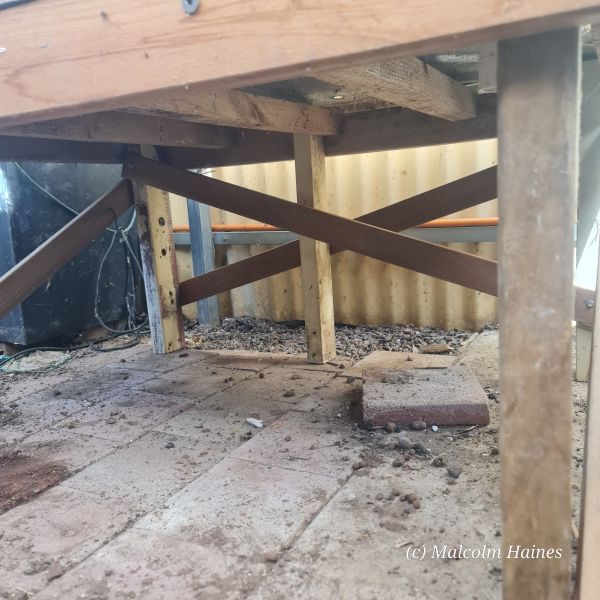 Well braced and I even reset the pavers that had sunk under the old weight. Busy boy!