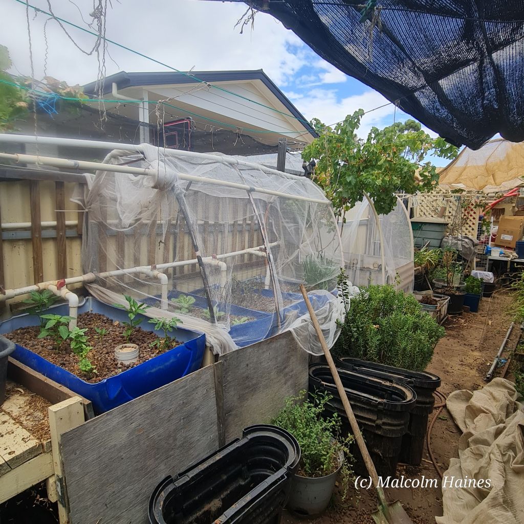 Jelina's happy with the increased space. I'm happy with the improved woodwork and efficiency.